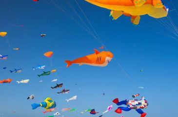 Intl kite festival in Fuerventura.jpg