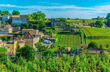 St Emilion vineyards, France