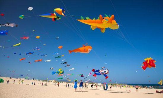 Kite festival in Fuerteventura.jpg